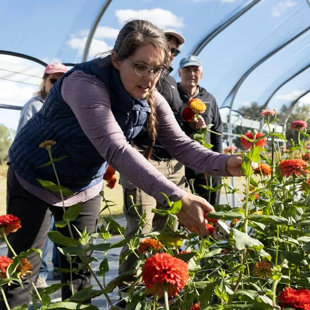 thumbnail for publication: Intercultural Competencies: Understanding Monochronic and Polychronic Cultures